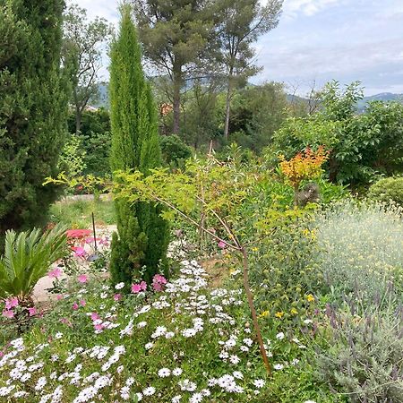 Haut De Villa Avec Terrasse Privative Jardin Et Parking Tout Pres Des Plages Tolón Exterior foto