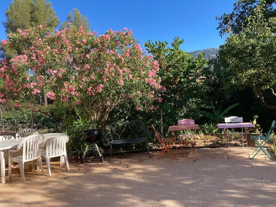 Haut De Villa Avec Terrasse Privative Jardin Et Parking Tout Pres Des Plages Tolón Exterior foto