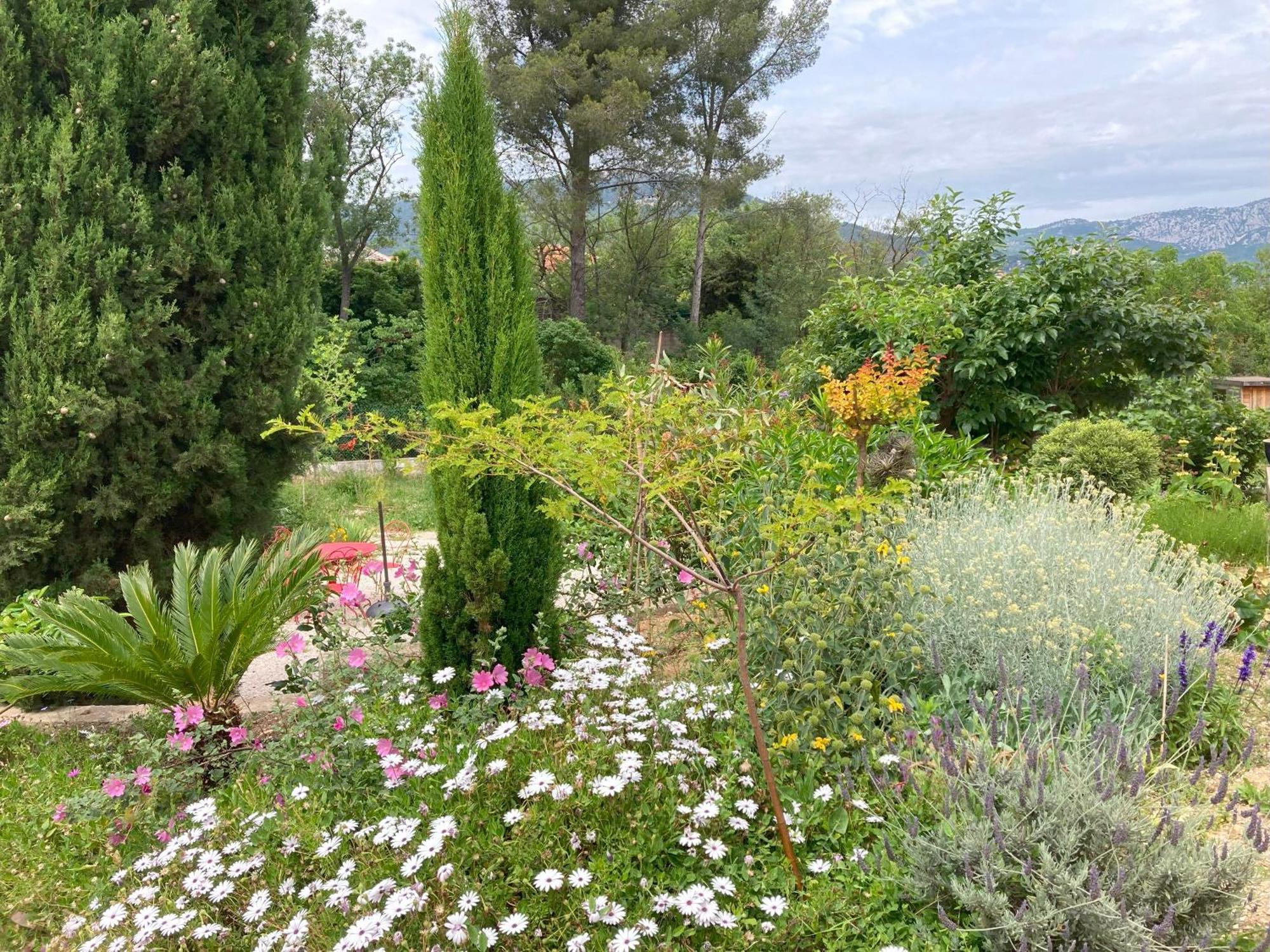 Haut De Villa Avec Terrasse Privative Jardin Et Parking Tout Pres Des Plages Tolón Exterior foto