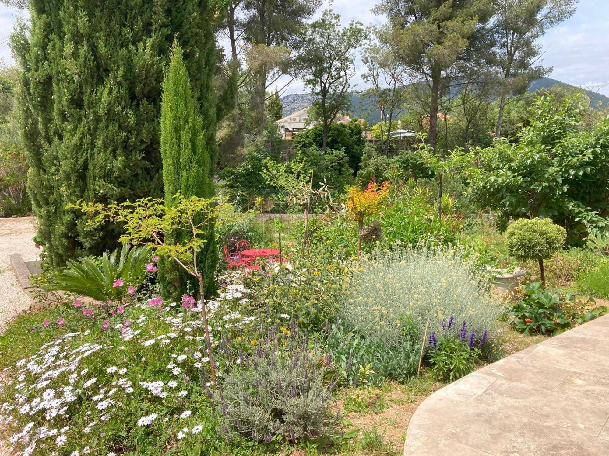 Haut De Villa Avec Terrasse Privative Jardin Et Parking Tout Pres Des Plages Tolón Exterior foto
