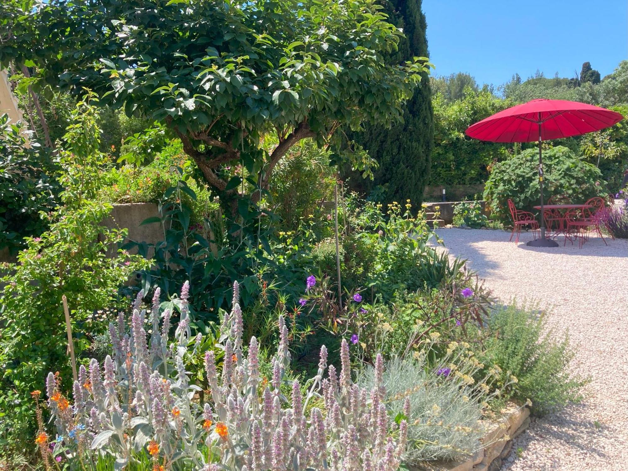 Haut De Villa Avec Terrasse Privative Jardin Et Parking Tout Pres Des Plages Tolón Exterior foto